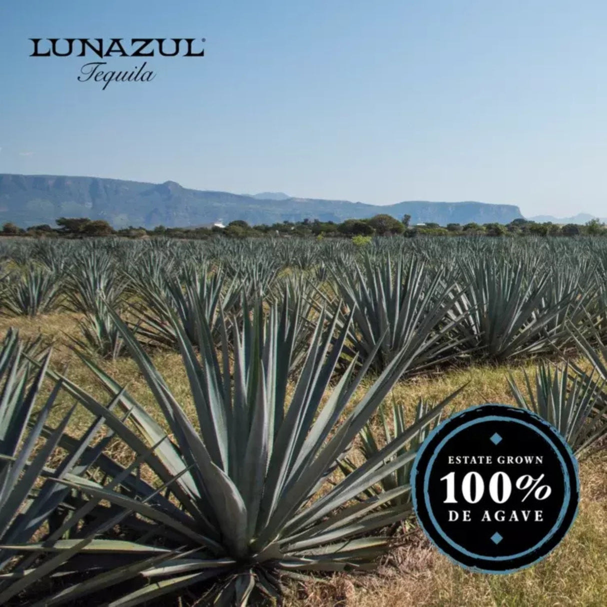 Lunazul Blanco Tequila