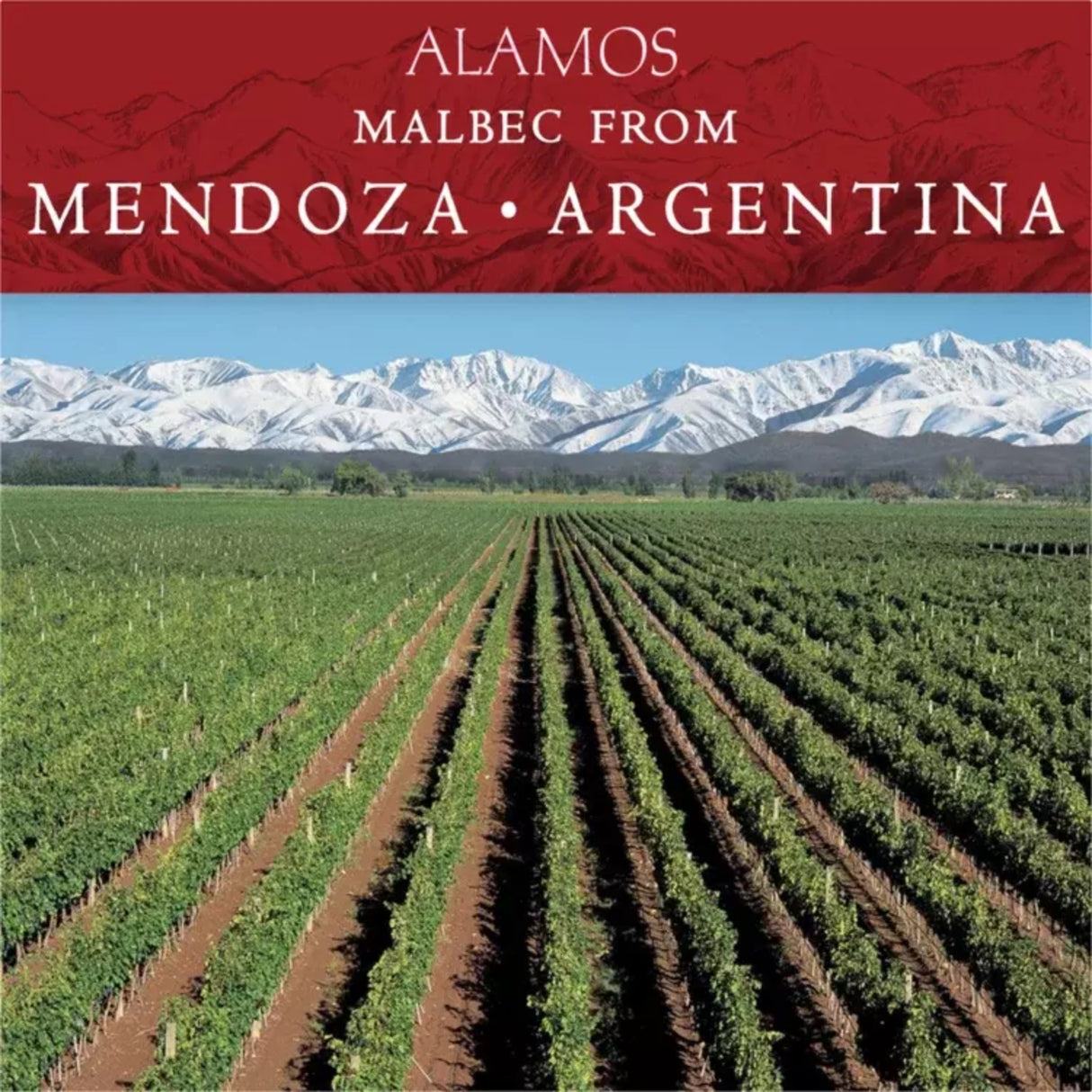 Alamos Malbec Argentina Red Wine