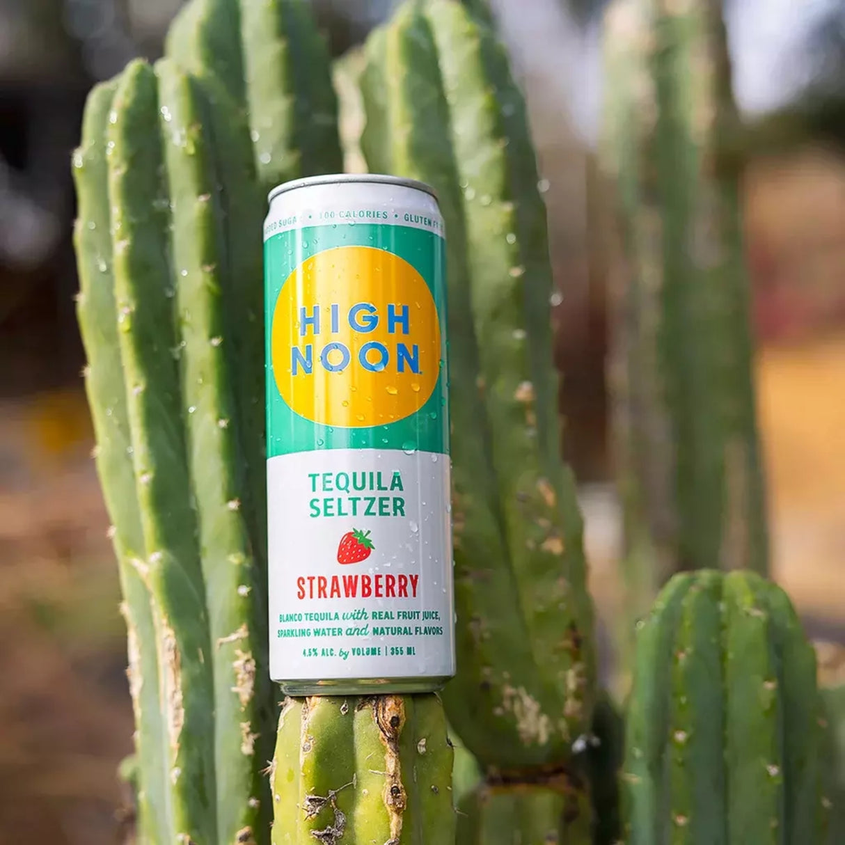 High Noon Tequila Seltzer Variety Pack