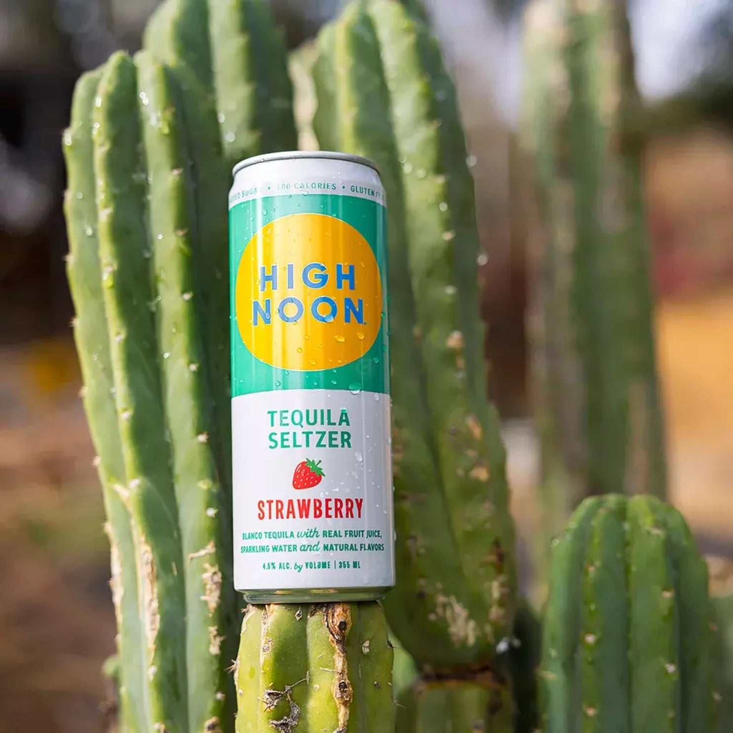 High Noon Tequila Seltzer Variety Pack