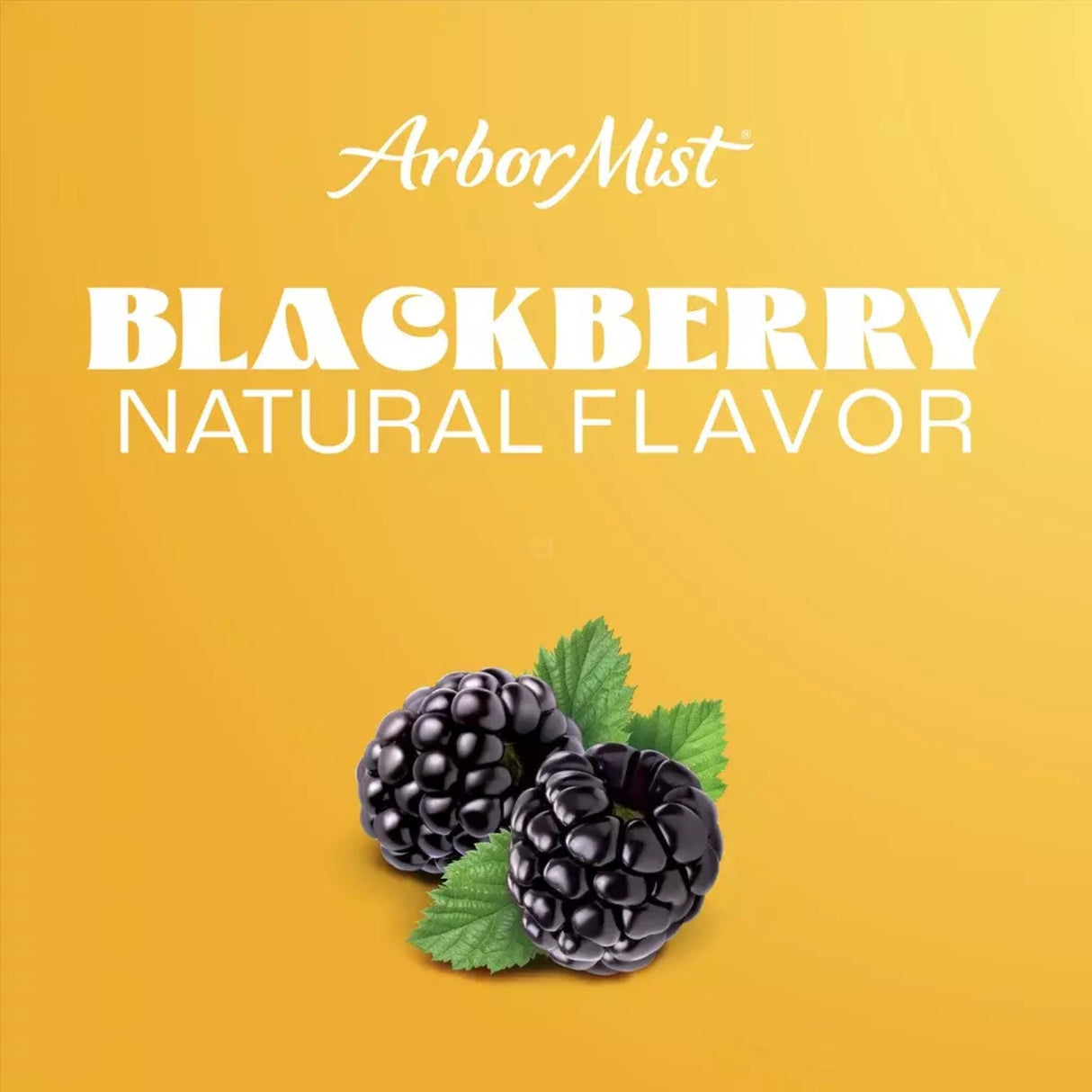 Arbor Mist Blackberry Merlot Sweet Red Wine