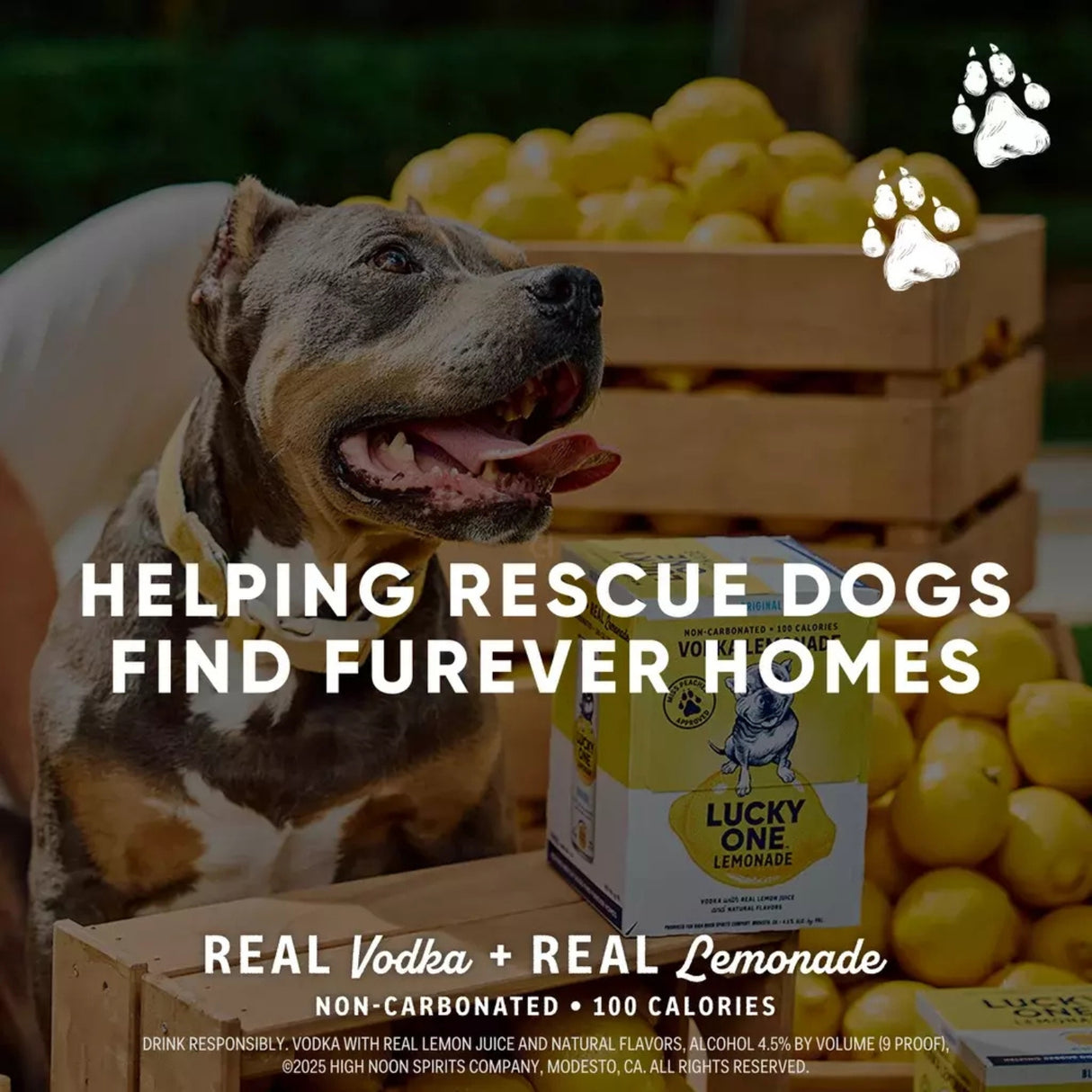 Lucky One Vodka Lemonade Variety