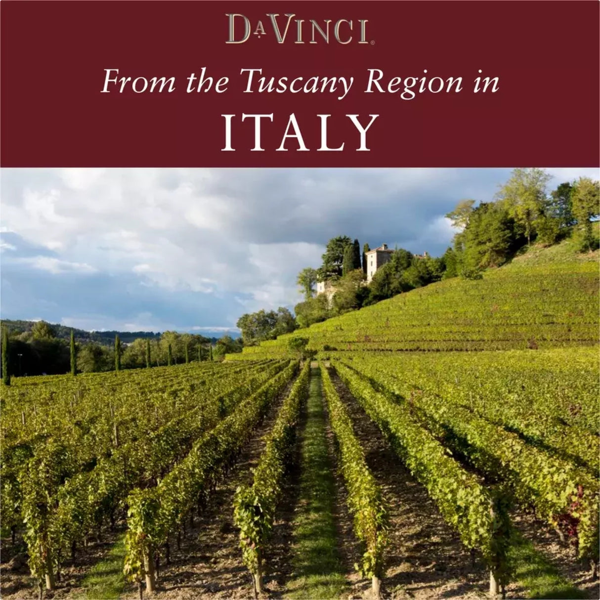 DaVinci Chianti Italian Red Wine
