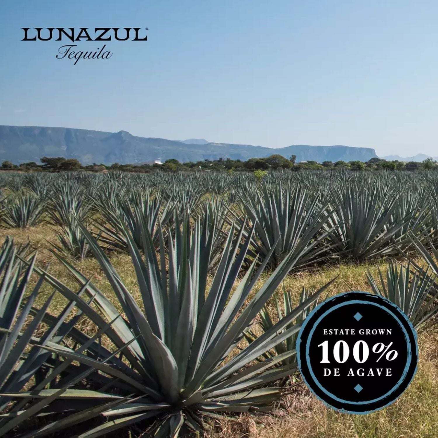 Lunazul Reposado Tequila