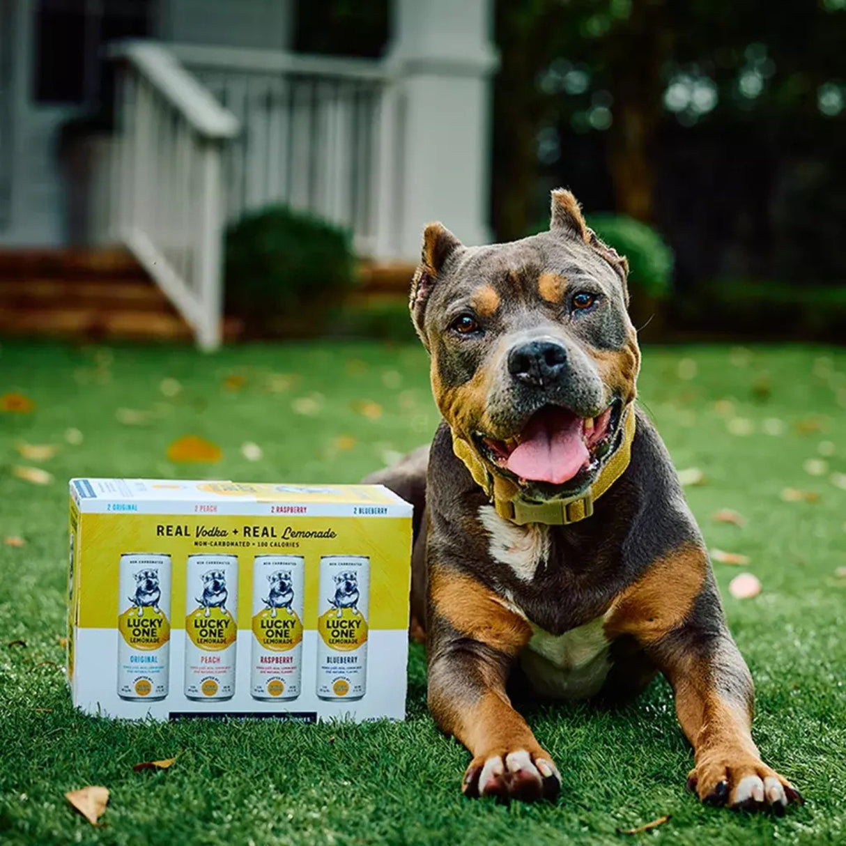 Lucky One Vodka Lemonade Variety