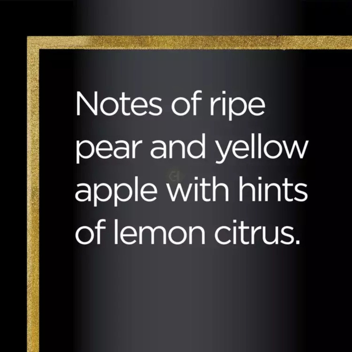 Black Box Pinot Grigio White Wine Box