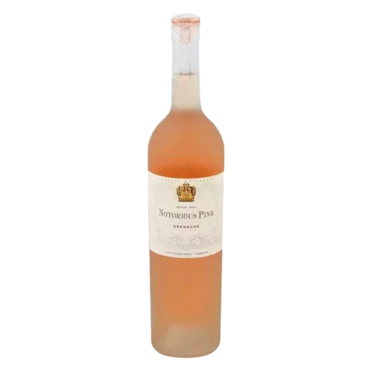 Notorious Pink Rose
