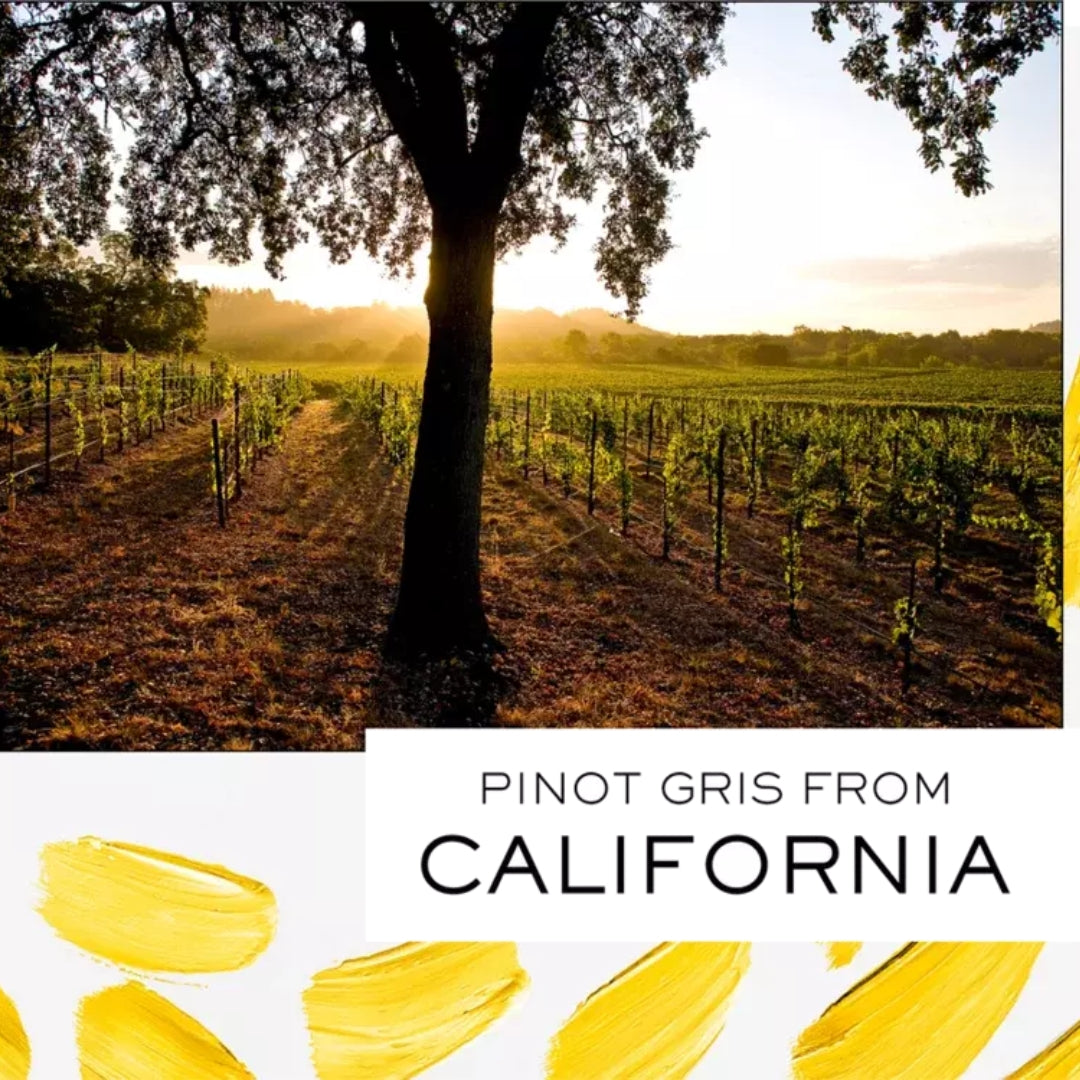 J Vineyards Pinot Gris White Wine