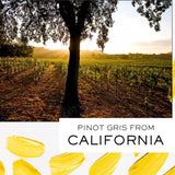 J Vineyards Pinot Gris White Wine