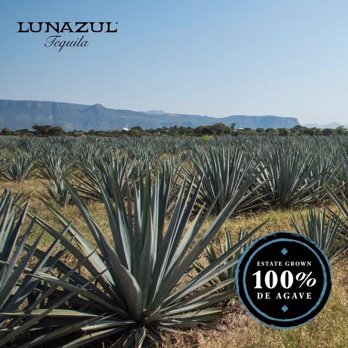 Lunazul Reposado Tequila