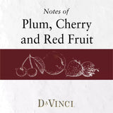 DaVinci Chianti Italian Red Wine