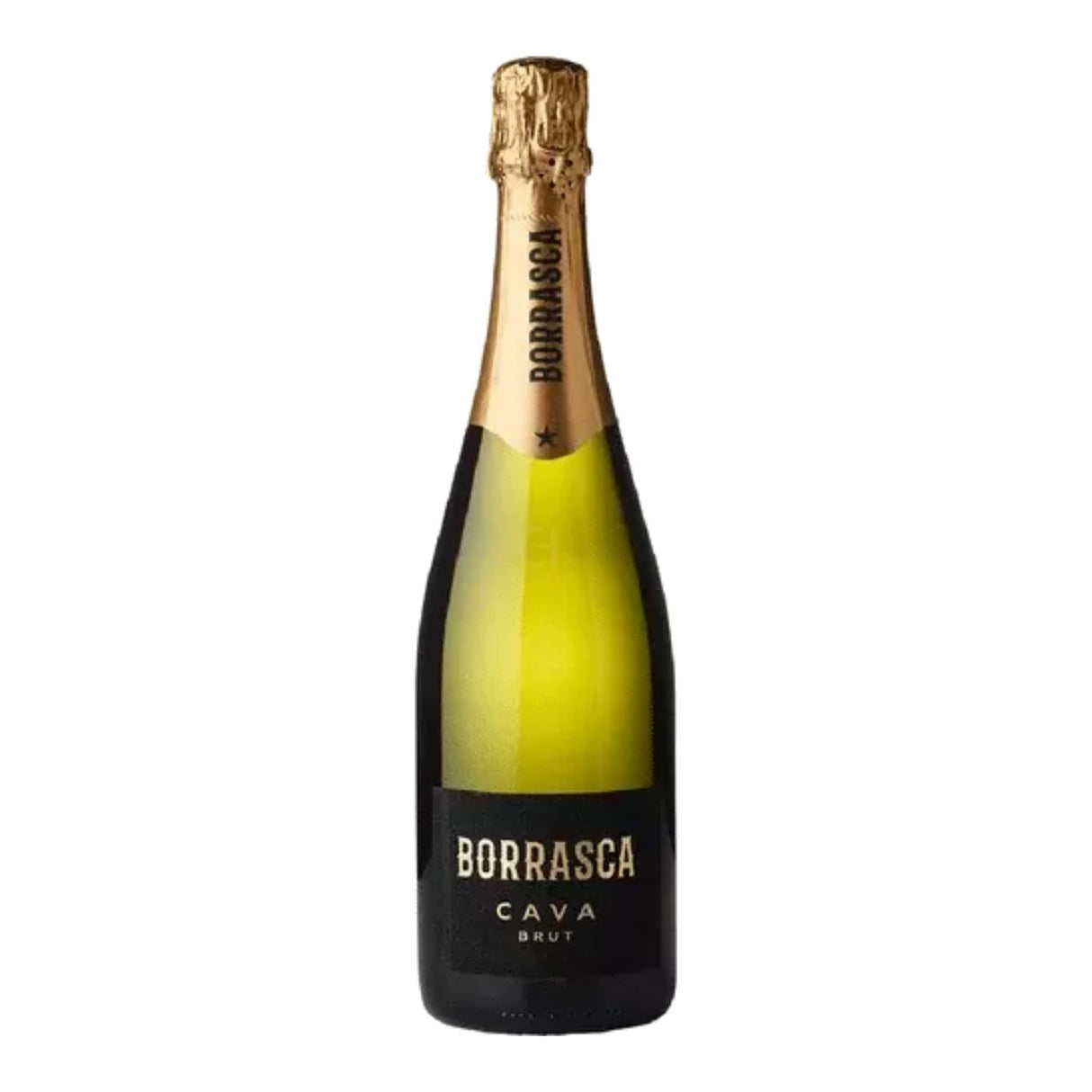 Vina Palaciega Brut Cava Organic